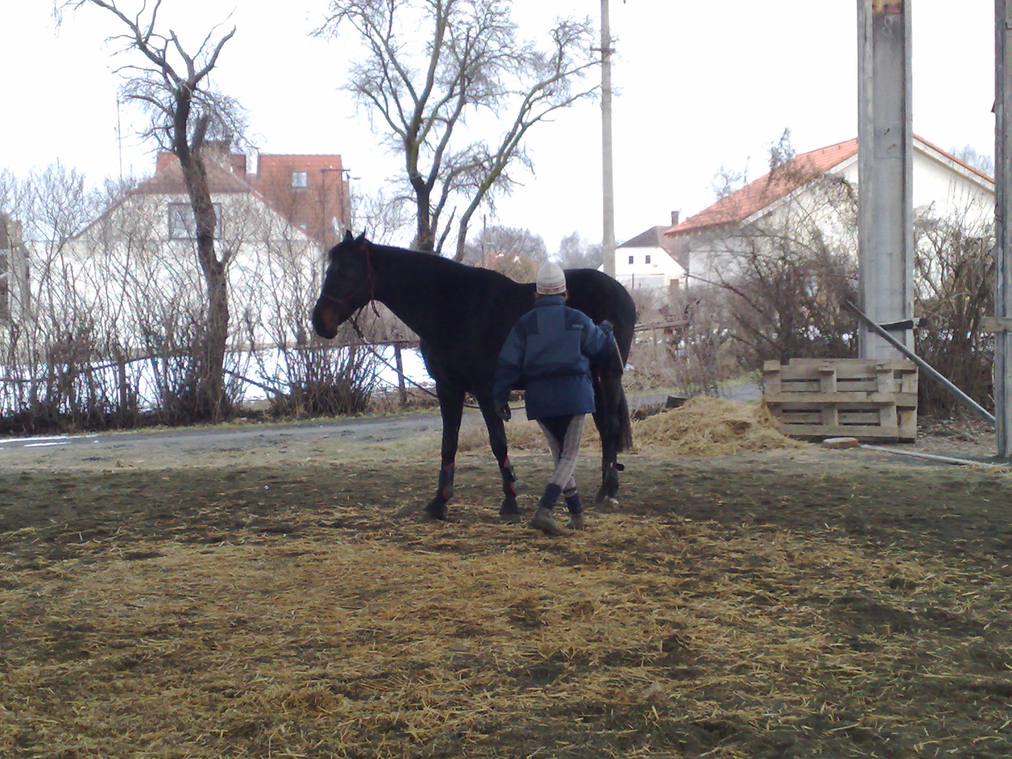 240220091096.jpg