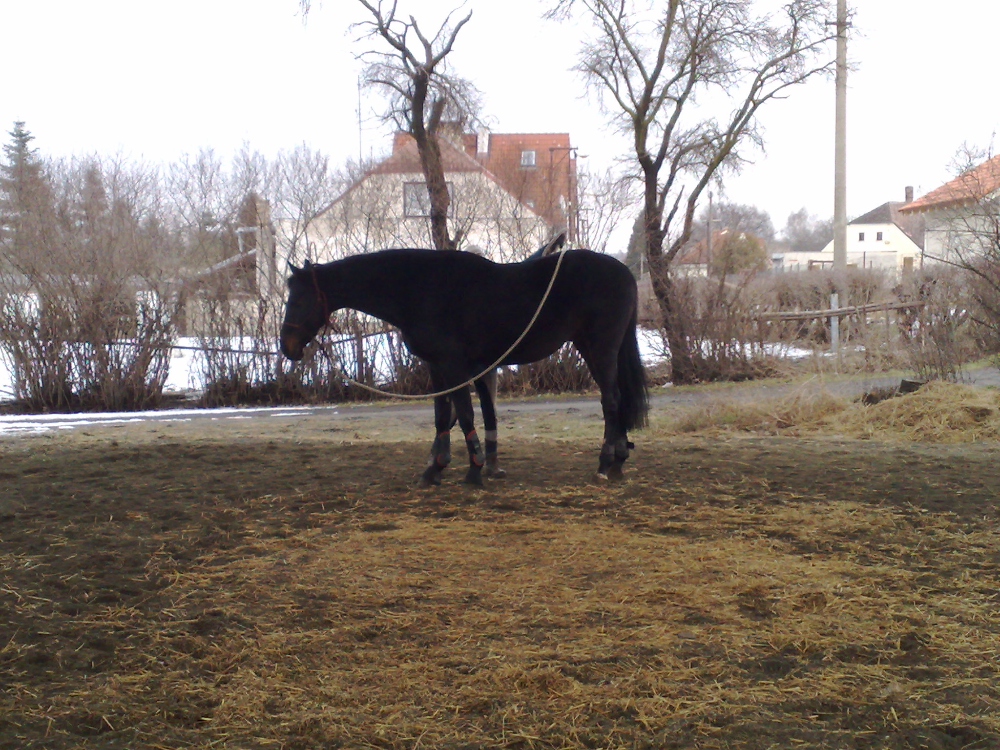 240220091097.jpg