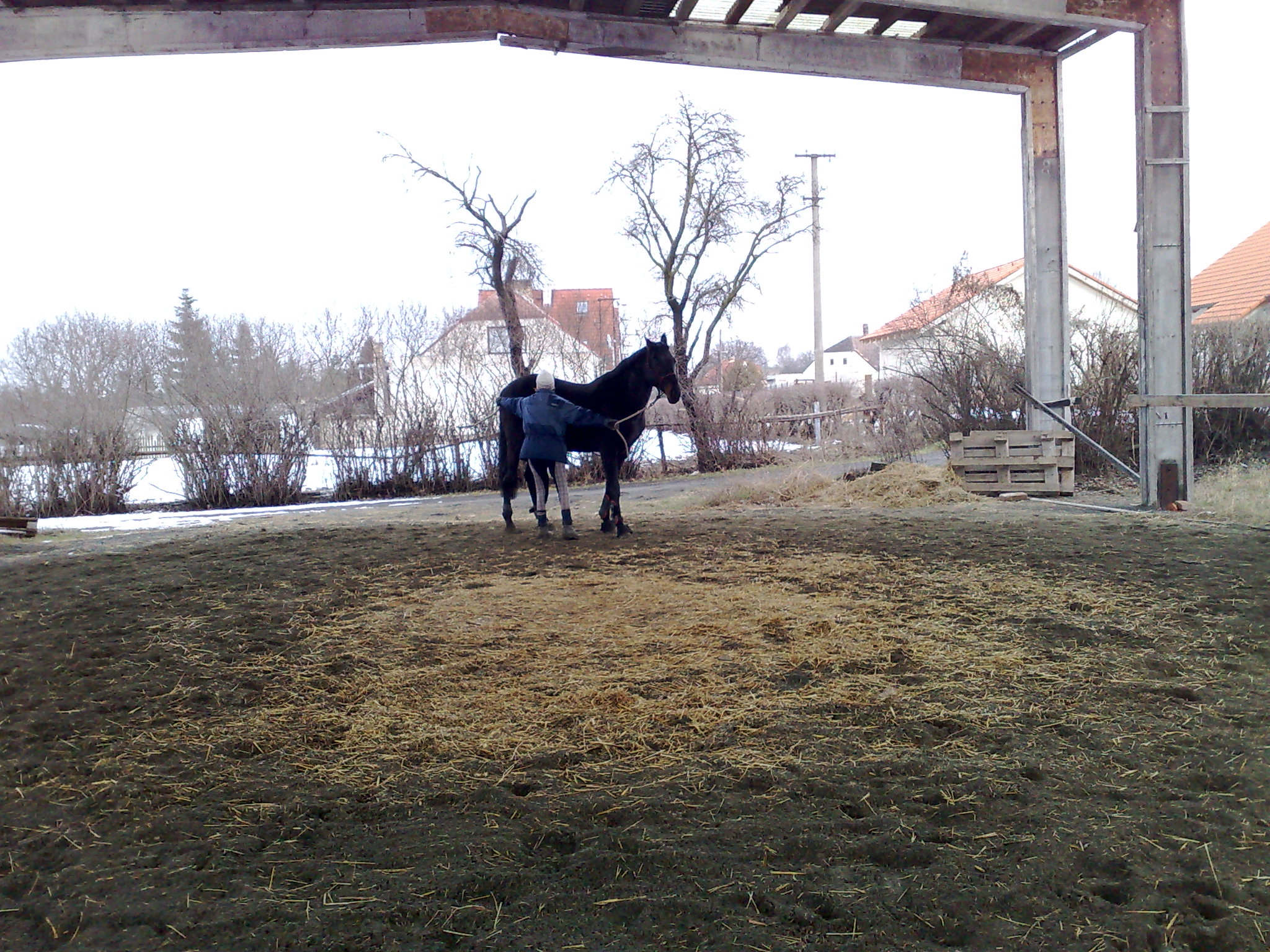 240220091099.jpg
