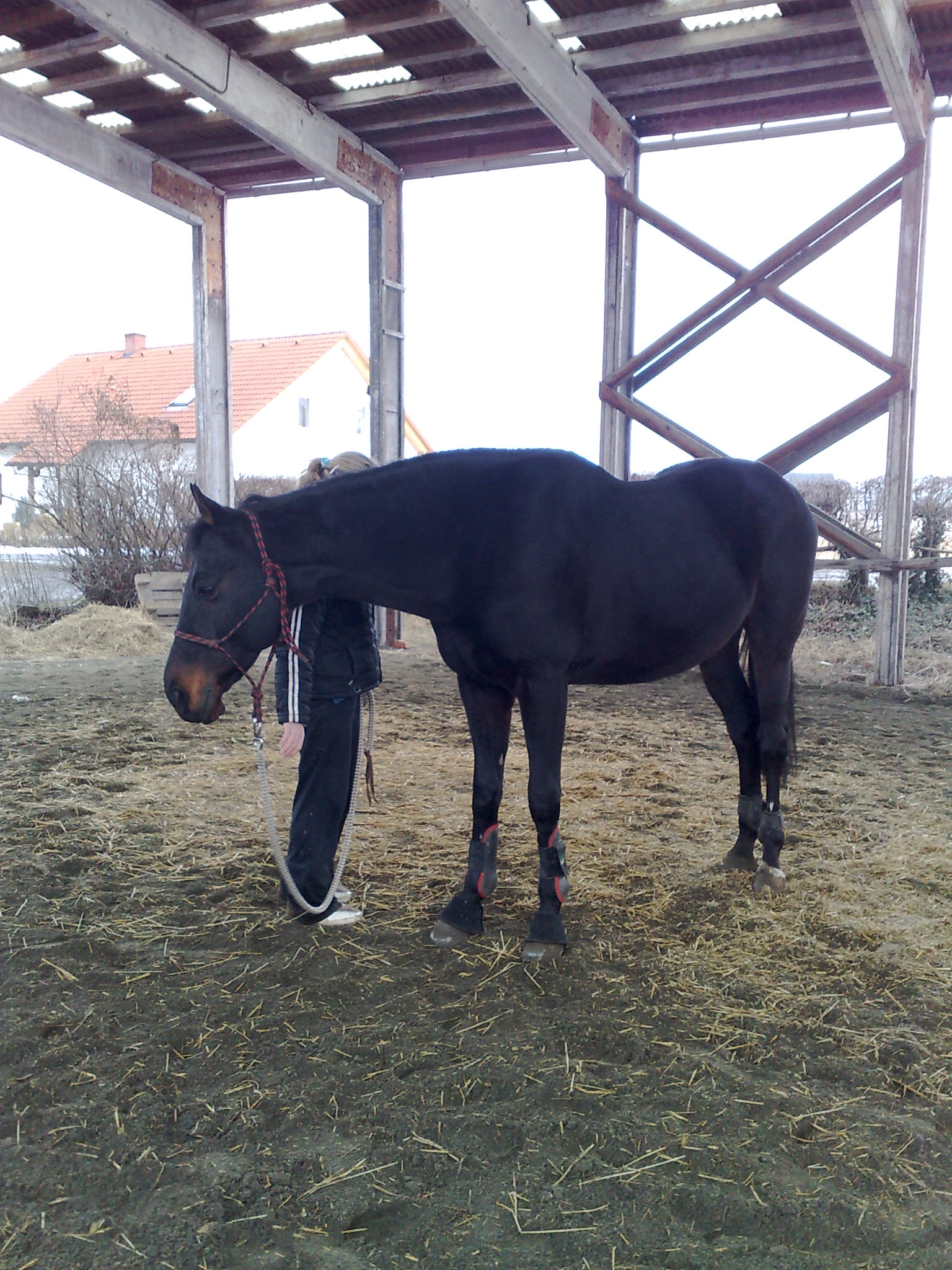 240220091108.jpg