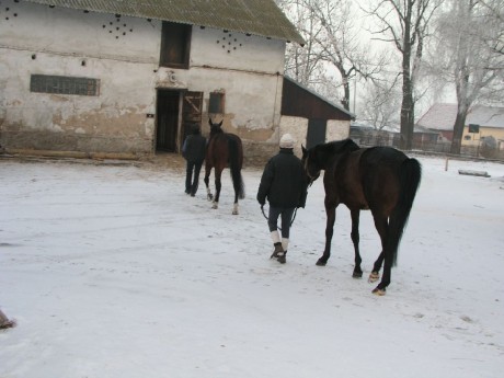 cesta domu.jpg